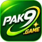 pak9 game